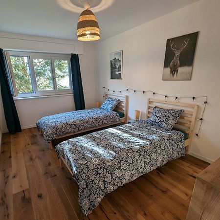 Appartement Spacieux Au Centre De La Gruyere Broc Esterno foto