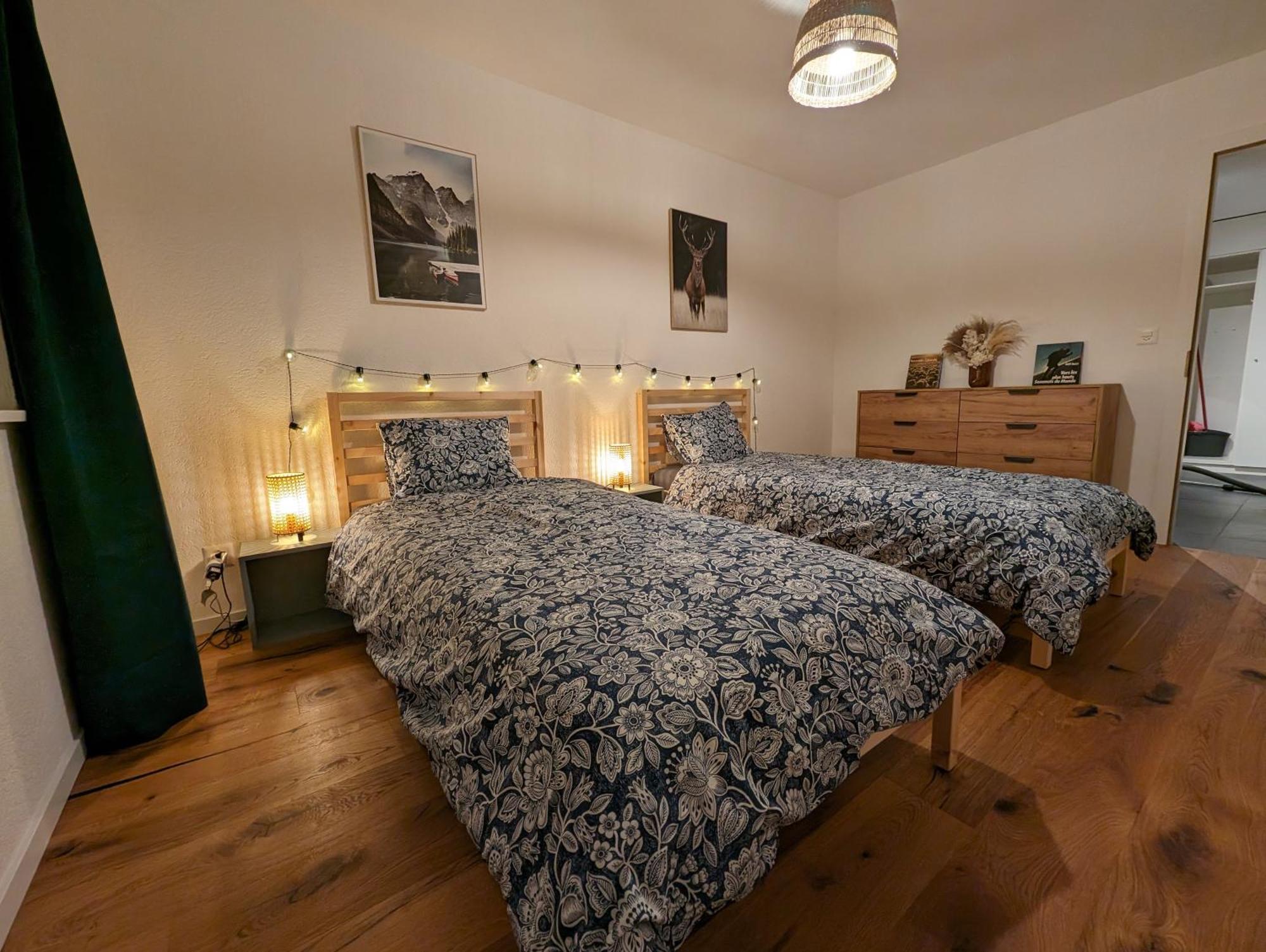 Appartement Spacieux Au Centre De La Gruyere Broc Esterno foto